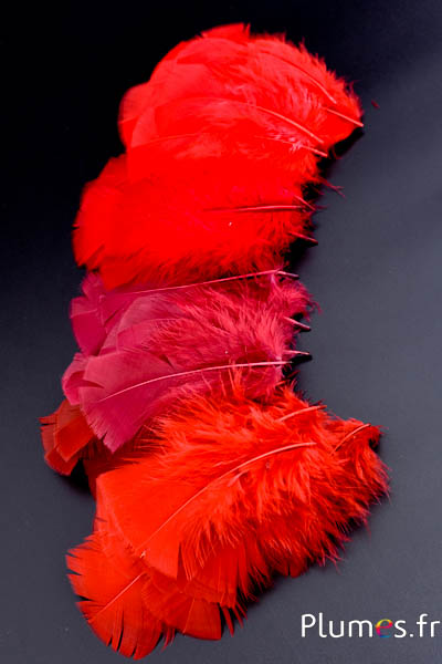 Dinde - 6-8 cm - camaïeu rouge